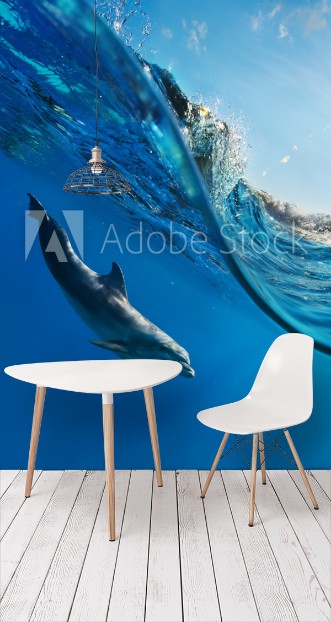 Picture of A dolphin swimming underwater